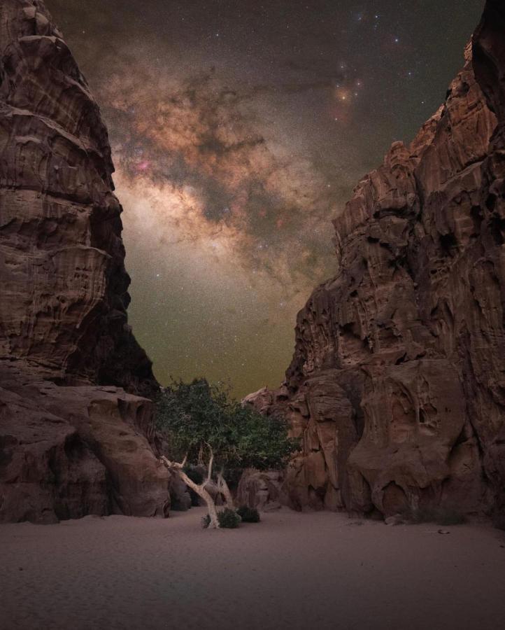 Wadirum Zeid Camp&Tours Ваді-Рам Екстер'єр фото