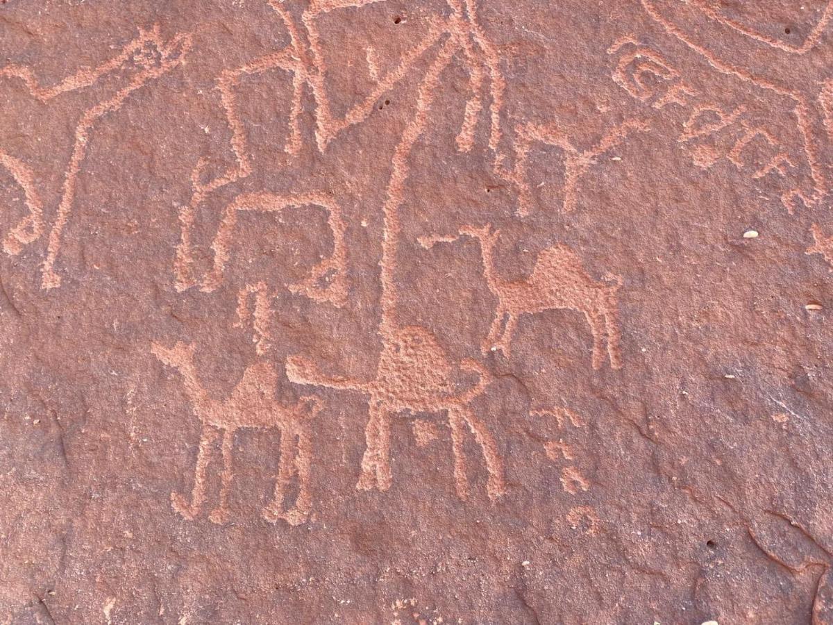 Wadirum Zeid Camp&Tours Ваді-Рам Екстер'єр фото