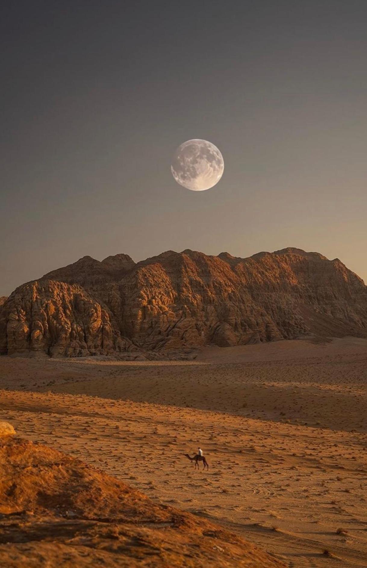 Wadirum Zeid Camp&Tours Ваді-Рам Екстер'єр фото