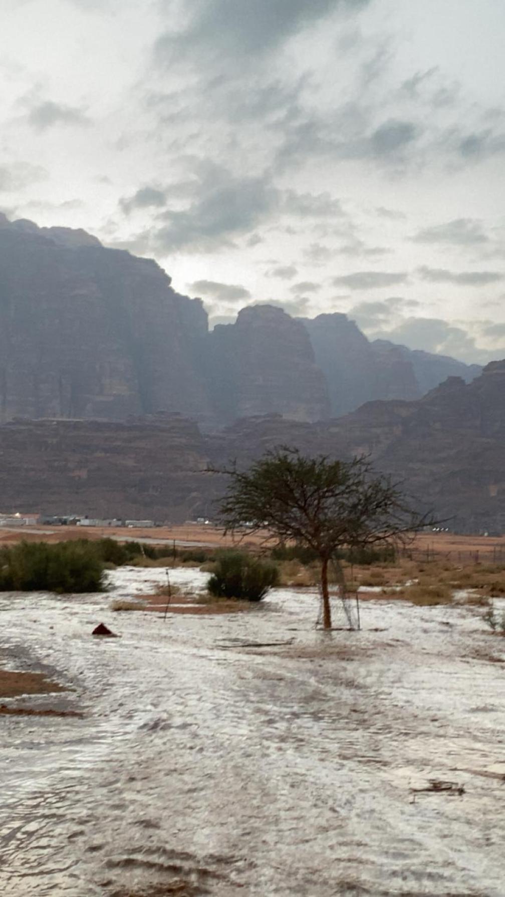 Wadirum Zeid Camp&Tours Ваді-Рам Екстер'єр фото