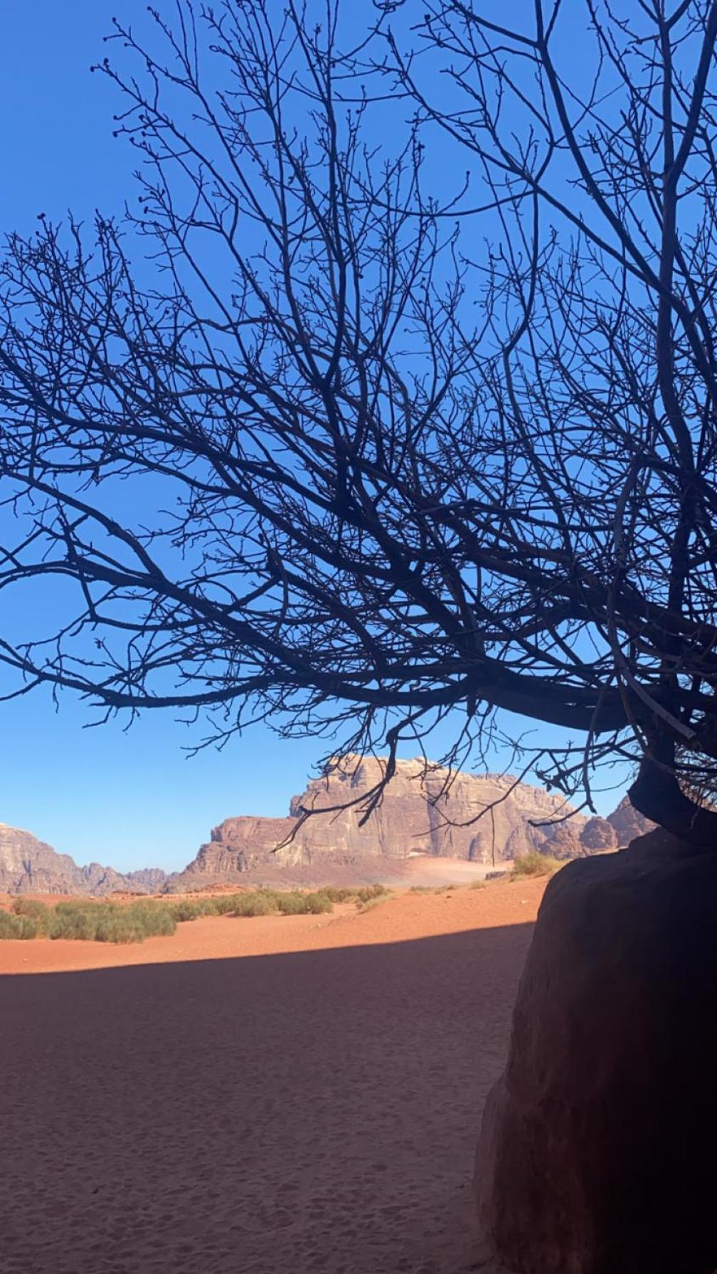 Wadirum Zeid Camp&Tours Ваді-Рам Екстер'єр фото